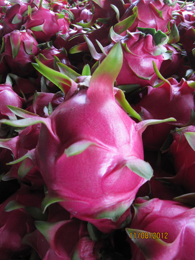 ถุงห่อแก้วมังกร-ชุนฟง