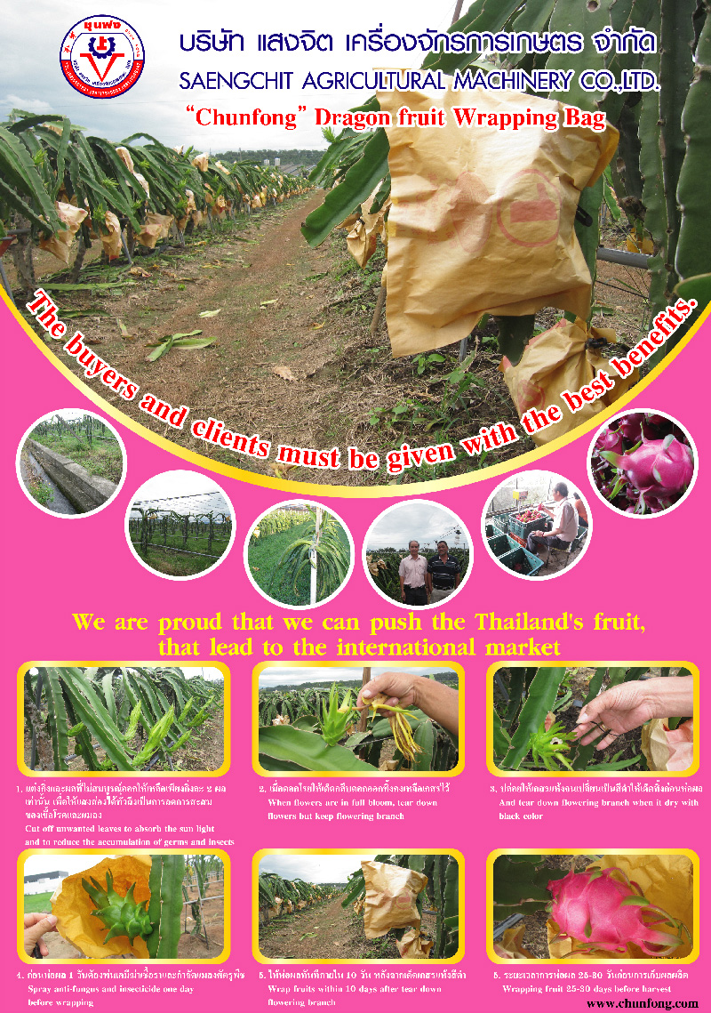 ถุงห่อแก้วมังกร-ชุนฟง