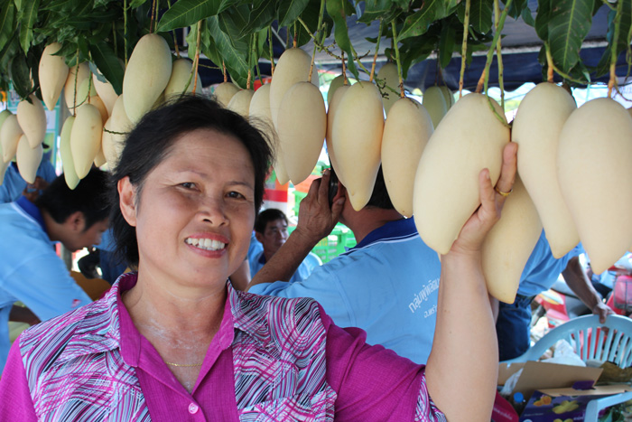 ถุงห่อมะม่วง-ชุนฟง