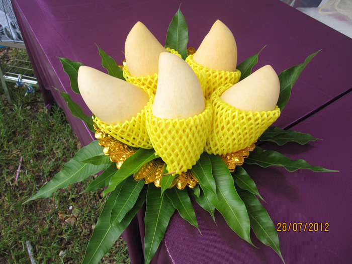 ถุงห่อมะม่วง-ชุนฟง