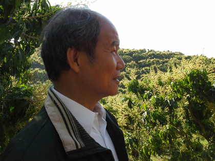 ถุงห่อมะม่วง-ชุนฟง