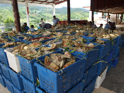 ถุงห่อมะม่วง-ชุนฟง