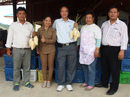 ถุงห่อมะม่วง-ชุนฟง