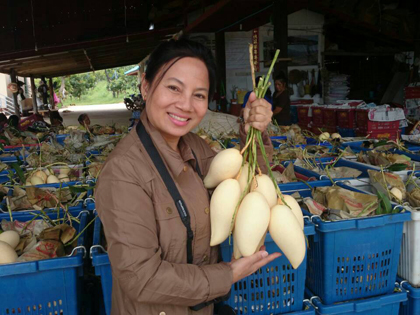 ถุงห่อมะม่วง-ชุนฟง