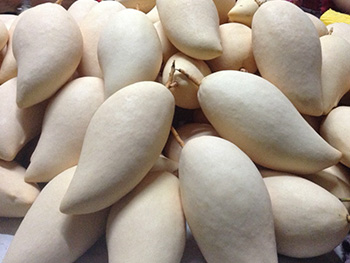 ถุงห่อมะม่วง-ชุนฟง