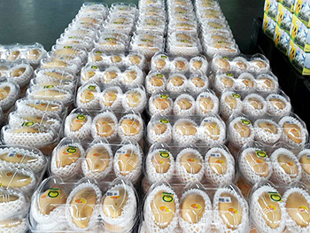 ถุงห่อมะม่วง-ชุนฟง