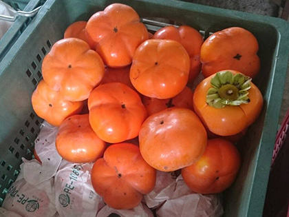 ถุงห่อลูกพลับ-ชุนฟง