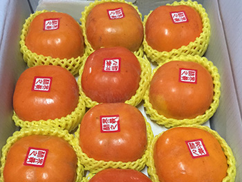 ถุงห่อลูกพลับ-ชุนฟง