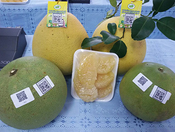 ถุงห่อส้มโอ-ชุนฟง