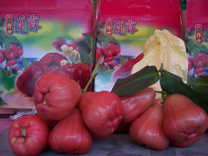 ถุงห่อชมพู่-ชุนฟง