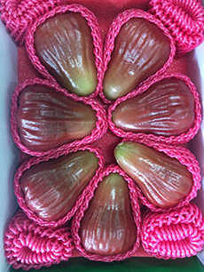 ถุงห่อชมพู่-ชุนฟง