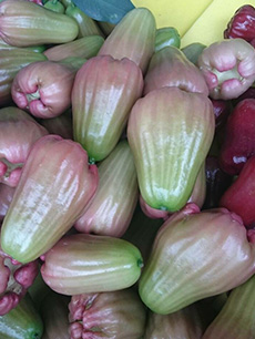 ถุงห่อชมพู่-ชุนฟง