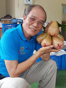 ถุงห่อชมพู่-ชุนฟง