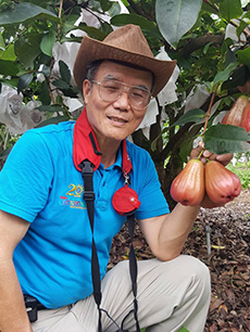 ถุงห่อชมพู่-ชุนฟง