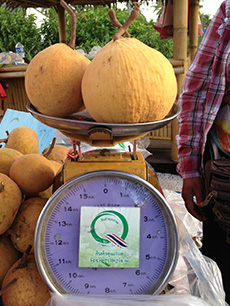 ถุงห่อกระท้อน-ชุนฟง