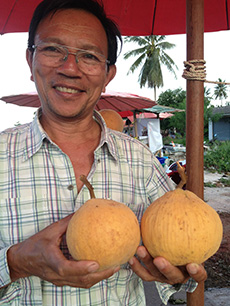 ถุงห่อกระท้อน-ชุนฟง